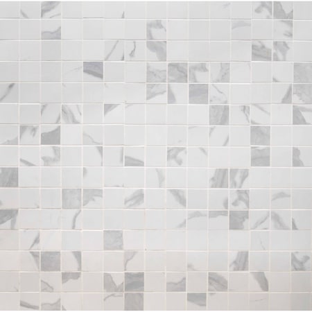 Msi Eden Statuary 12 In. X 12 In. X 10Mm Matte Porcelain Mesh-Mounted Mosaic Tile, 8PK ZOR-PT-0173